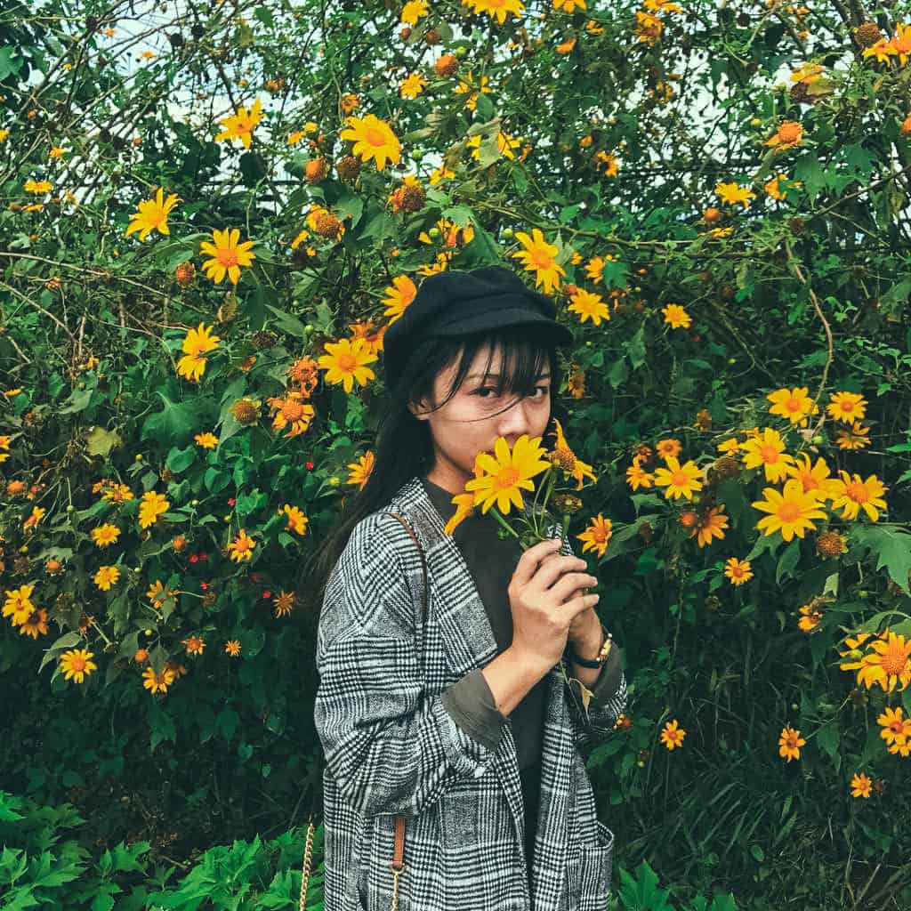 Hoa dã quỳ là một trong những loài hoa được yêu thích nhất tại Việt Nam. Với những bức ảnh đầy sáng tạo và tinh tế, bạn sẽ không thể rời mắt khỏi những hình ảnh chi tiết về hoa dã quỳ này.