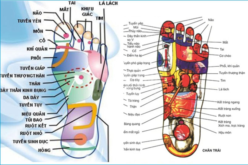 Khóa học nâng cao sức khỏe bằng Khí công & Day ấn huyệt 03 buổi