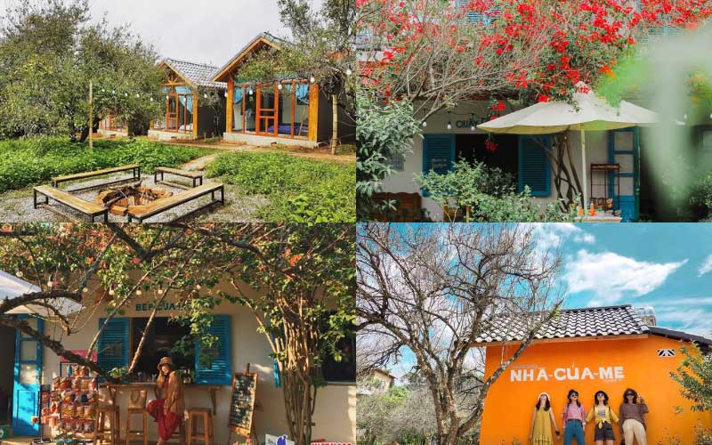 Homestay-Mamas-house