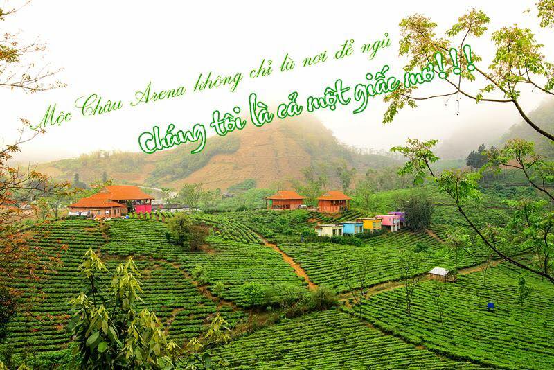 MCArena-village