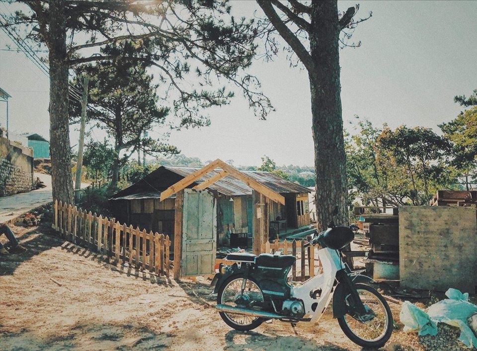 Reply-1988-Homestay 