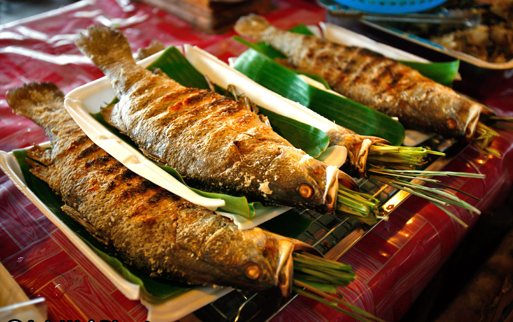 ca-suoi-nuong