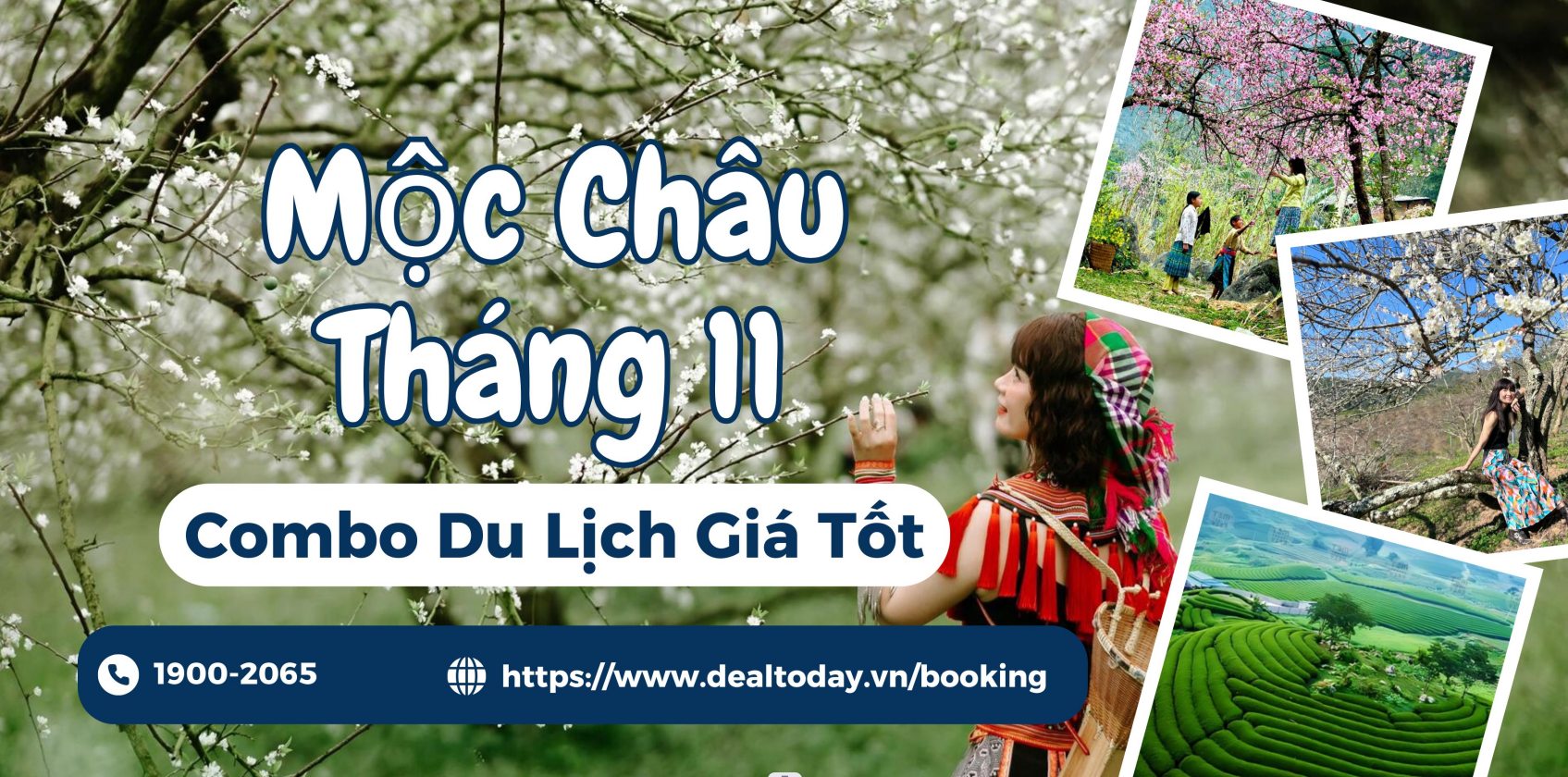 combo-du-lich-moc-chau-tiet-kiem