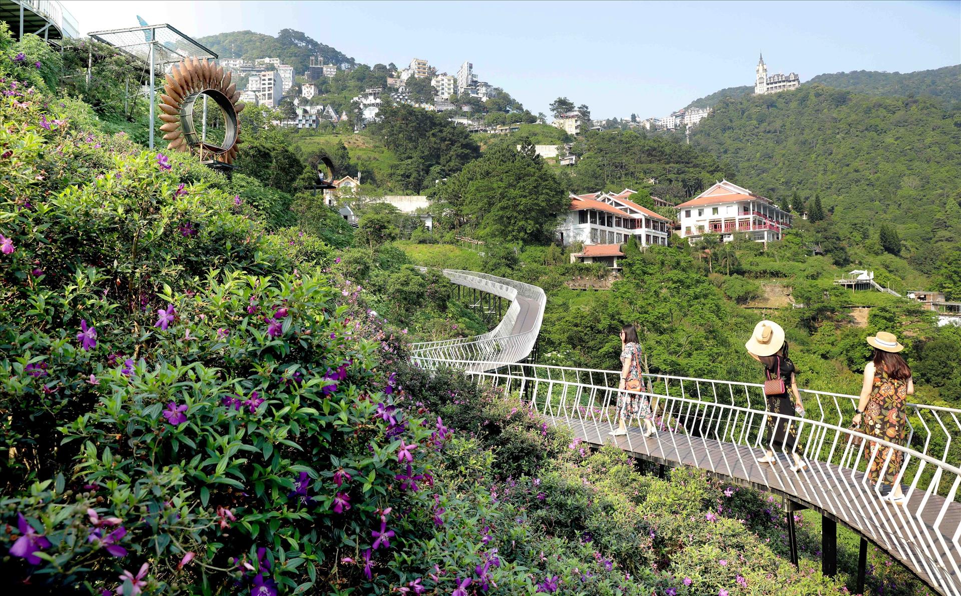 dia-diem-du-lich-moi-tai-tam-dao