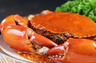 Buffet hải sản Hà Nội - Trải nghiệm ẩm thực biển ngay giữa lòng thành phố