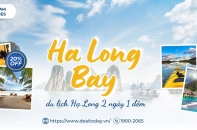 Check-in Hạ Long 2 Ngày 1 Đêm Nên Đặt Phòng Trước Ở Đâu?