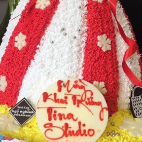Tina Studio