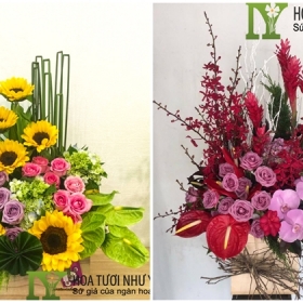 Hoa Tươi Như Ý