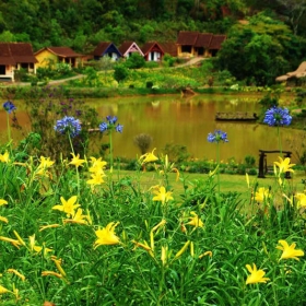 Đà Lạt 360° Travel