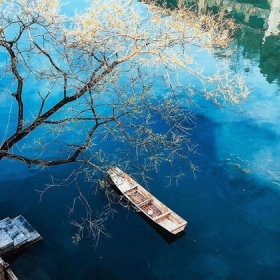 Phượng Hoàng Tours