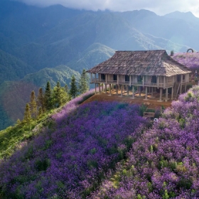 Sun World Fansipan Legend