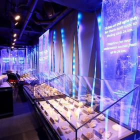 Vinpearl Land Aquarium