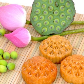 Hệ thống 08 chi nhánh Yến Sào Khánh Hòa