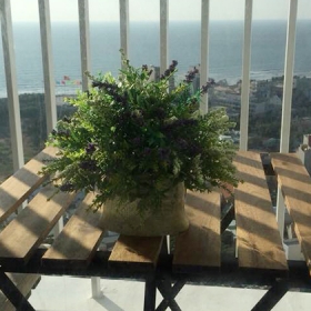 Sunny House Vũng Tàu