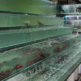 Kiên Hương Rừng