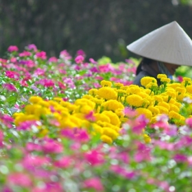 Hello Đà Lạt Travel 