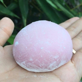 Song Thủy Wagashi