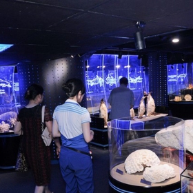 Vinpearl Land Aquarium