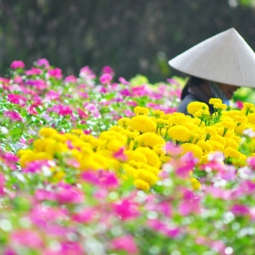 Việt Promotion Travel 