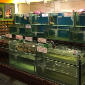 Nhà hàng Red House Q3