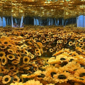 Flyover Starry Sky Art Museum - Vé tham quan dành cho người lớn