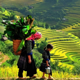 Tour trekking Sapa - Y Linh Hồ - Lao Chải - Tả Van Bungalow 2N1Đ