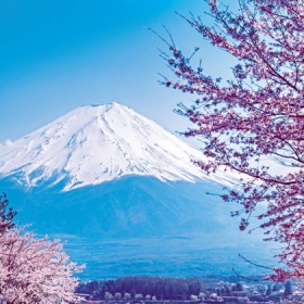 Viet Nam Royal Travel