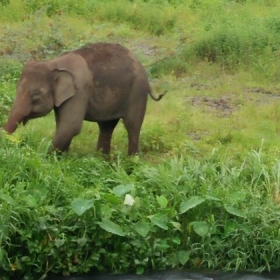 Khách sạn Dray Sáp -  Khu du lịch cụm thác Dray Sáp – Gia Long