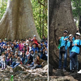 ORCHARD NAM CAT TIEN RESORT