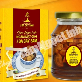 Showroom Sâm Ngọc Linh