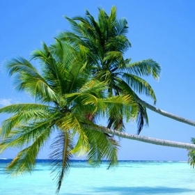 Red river Phú Quốc