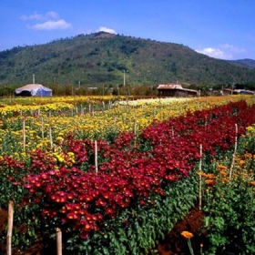 Du lịch Bốn Bạn