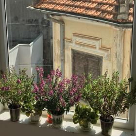 Khách sạn Phước Thịnh Đà Lạt 