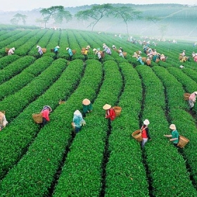 Đồng Khởi Travel