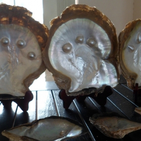 Red river Phú Quốc