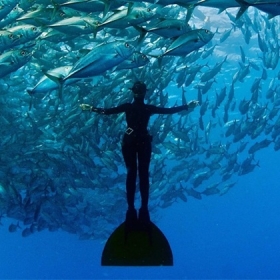 Rumblefish Việt Nam