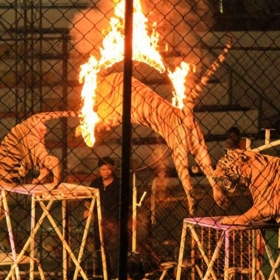 South Pacific Travel