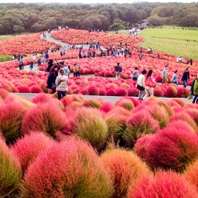 Triều Hảo Tourist