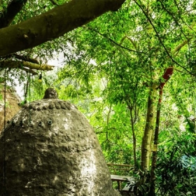 Quần thể Arts Hotel - Đào Anh Khánh 