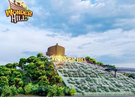 Wonder Hill