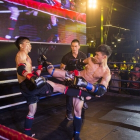 Cocobay Championship Fighter In You