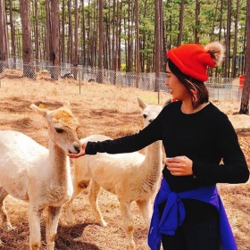 Đà Lạt 360° Travel