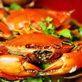 Nhà hàng Loan Cua 