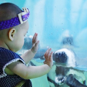 Vinpearl Land Aquarium