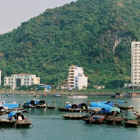 Khách sạn Draco Cát Bà QK3 3 sao