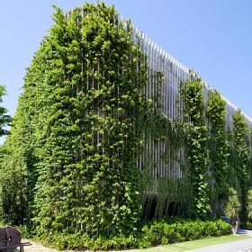 Naman Retreat Resort 5 sao