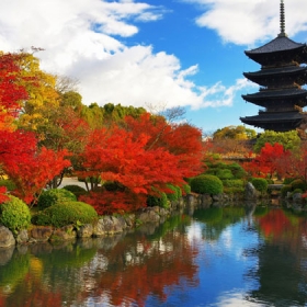 Viet Nam Royal Travel