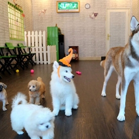 Little Angels Coffee