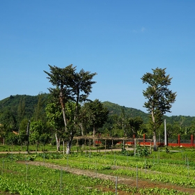 ORCHARD NAM CAT TIEN RESORT