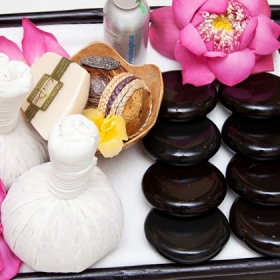 Dolphin Spa & Cosmetic